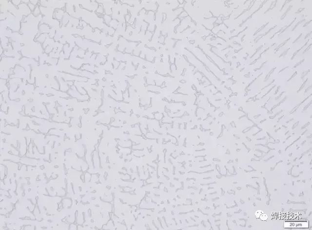 無錫不銹鋼板價(jià)格,201不銹鋼,無錫不銹鋼,304不銹鋼板,321不銹鋼板,316L不銹鋼板,無錫不銹鋼板 無錫不銹鋼板價(jià)格,201不銹鋼,無錫不銹鋼,304不銹鋼板,321不銹鋼板,316L不銹鋼板,無錫不銹鋼板